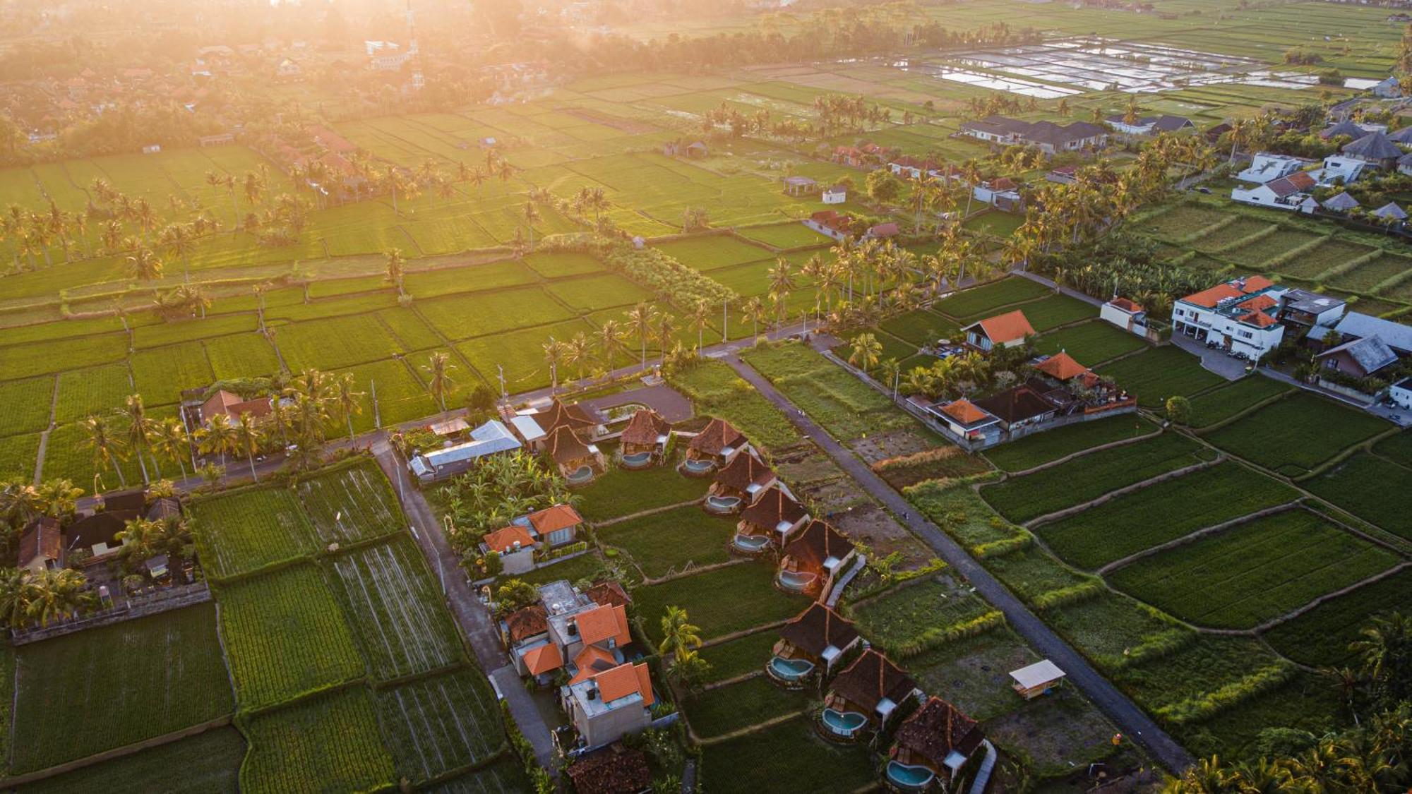 Ikada Villa By Pramana Villas Ubud Exterior foto